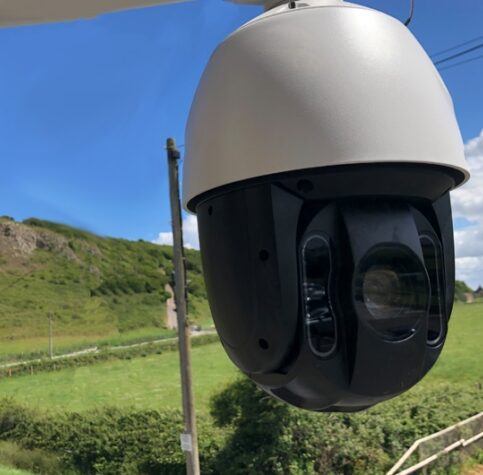 security-company_wellington